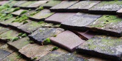 Bracknell Forest roof repair costs